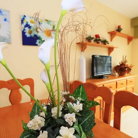 Tarongers - Only Families Holiday home